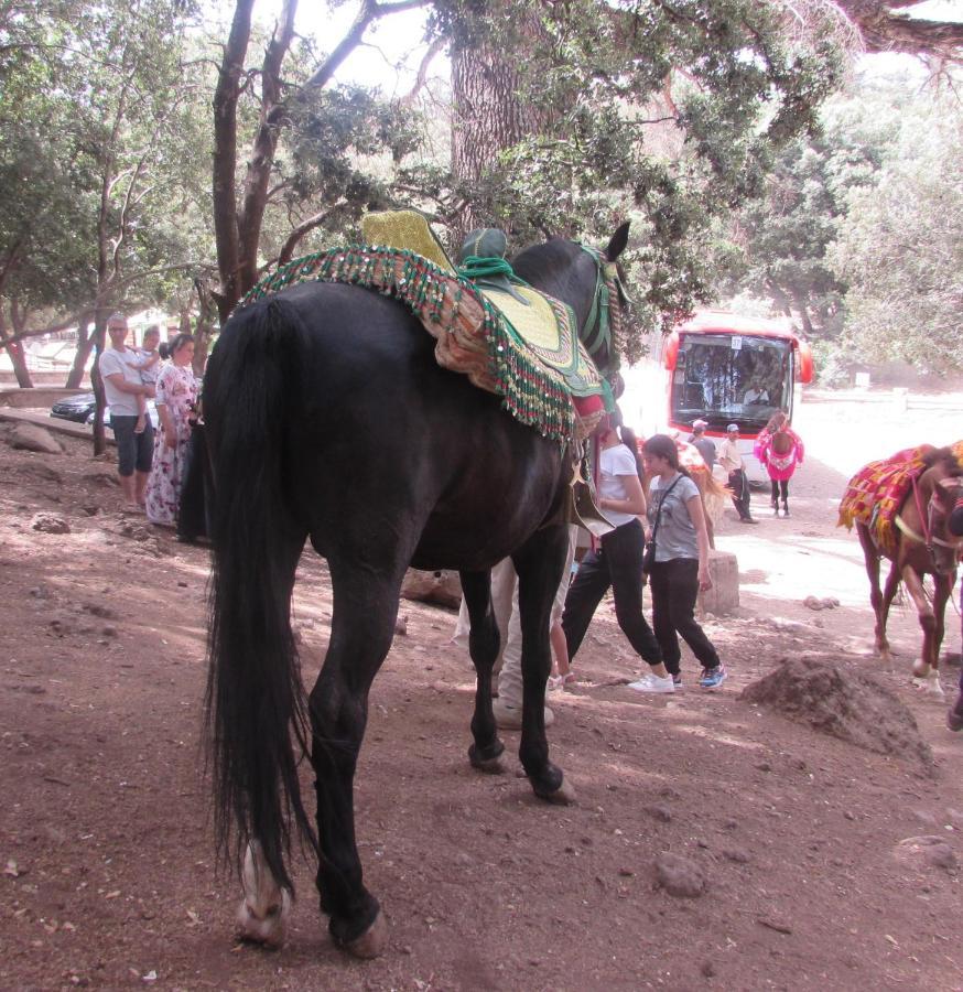 Bed And Breakfast Ifrane  Ngoại thất bức ảnh